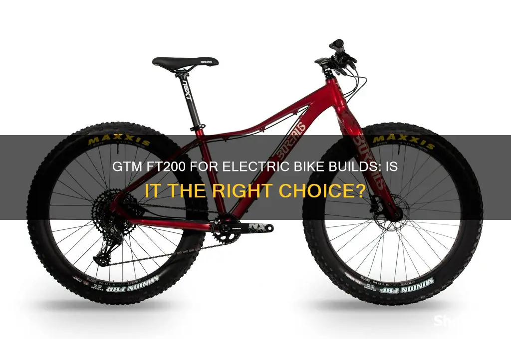 can i use gtm ft200 for electric bike build