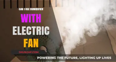 Using a Humidifier with an Electric Fan: Safe or Risky?