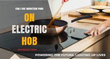 Induction Pans on Electric Hobs: Compatibility and Cooking Tips