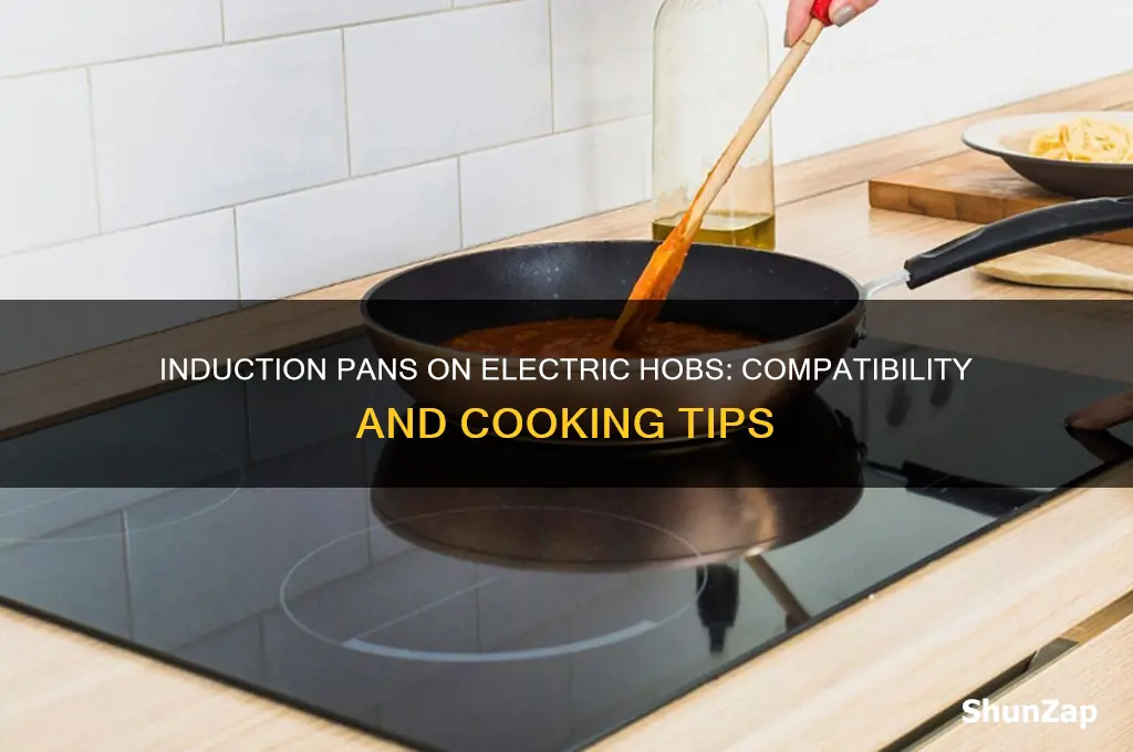 can i use induction pans on electric hob