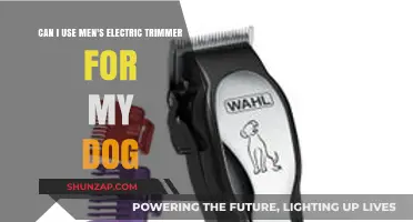 Using Men's Electric Trimmers for Dog Grooming: Safe or Risky?
