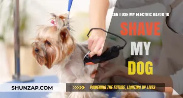 Can You Use an Electric Razor to Shave Your Dog?