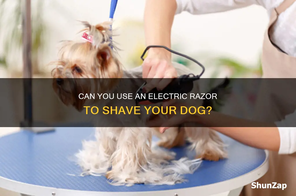 can i use my electric razor to shave my dog