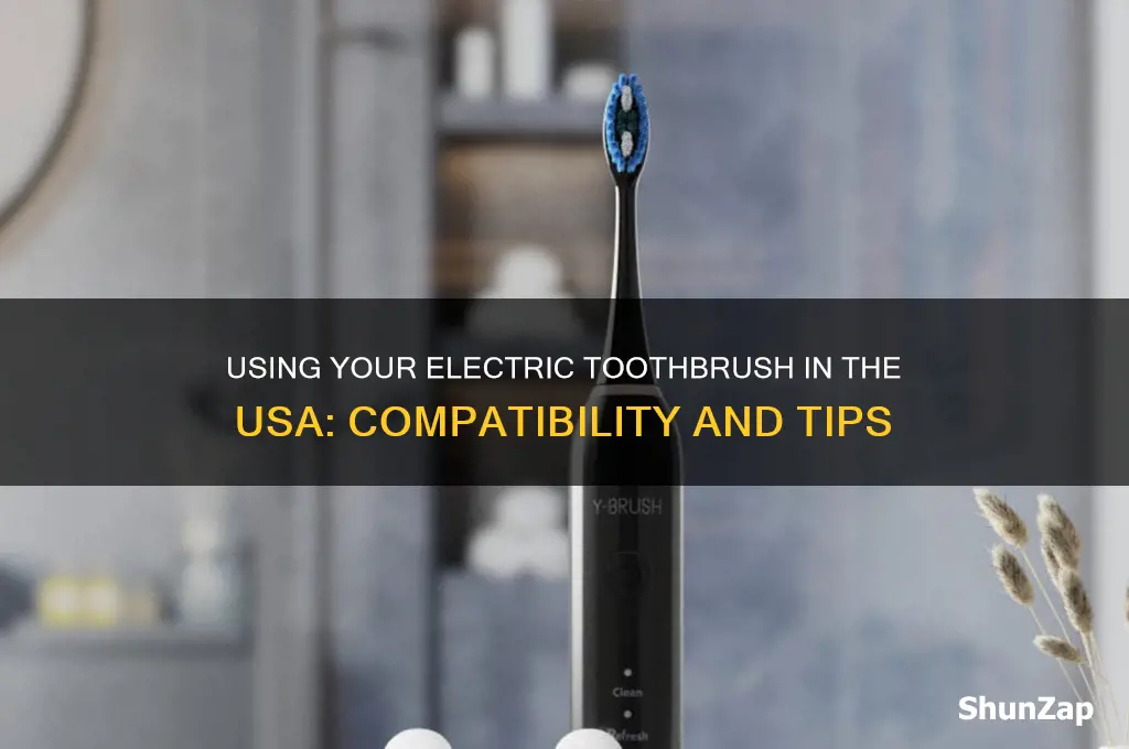 can i use my electric toothbrush in usa