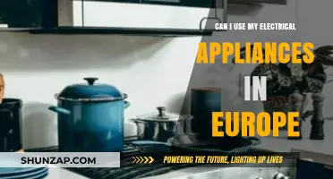 Using US Electrical Appliances in Europe: Compatibility and Adapter Guide