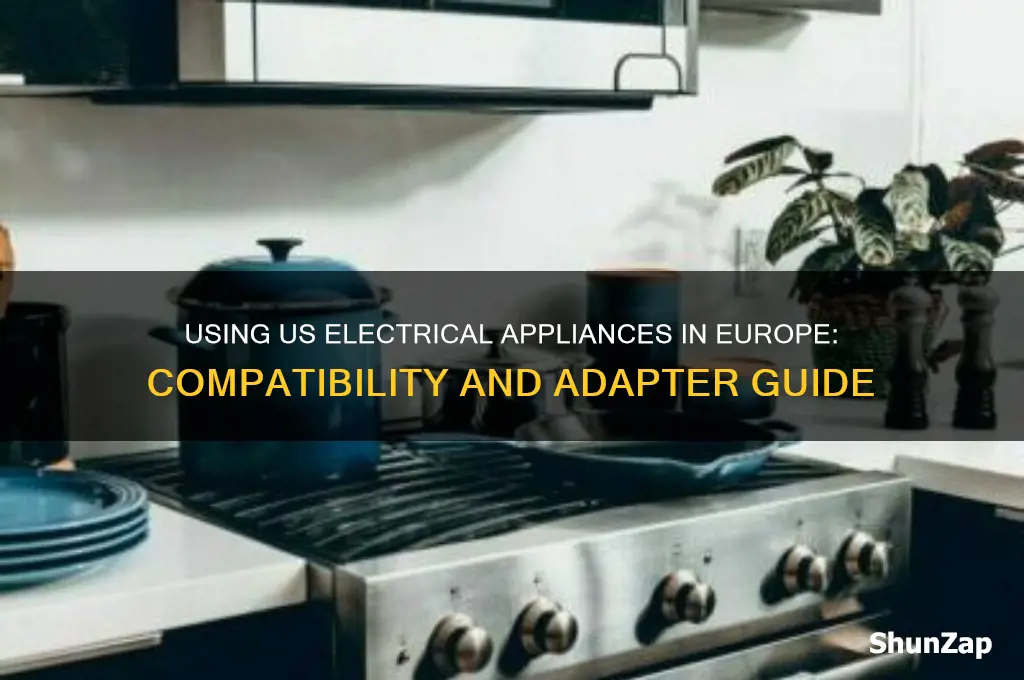 can i use my electrical appliances in europe