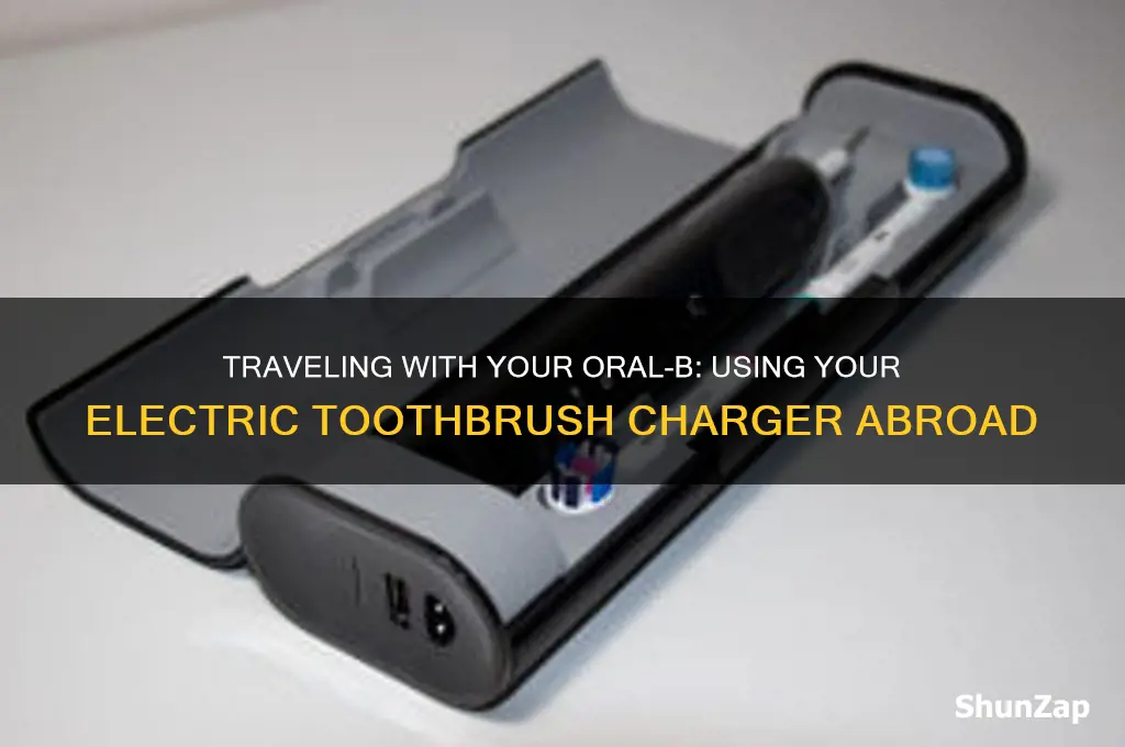 can i use my oral-b electric toothbrush charger abroad