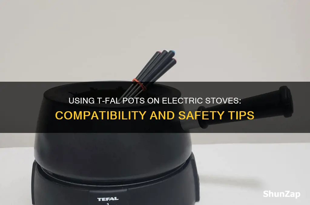 can i use my t-fal pot on an electric stove
