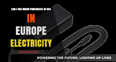 Using Nikon USA Cameras in Europe: Electricity Compatibility Guide