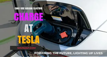 Can Nissan Electric Chargers Be Used at Tesla Stations?