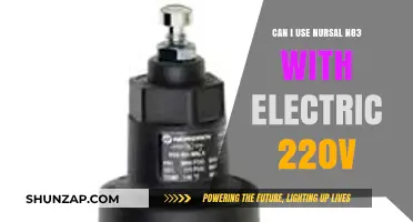 Using Nursal N83 with 220V Electric Systems: Compatibility Guide