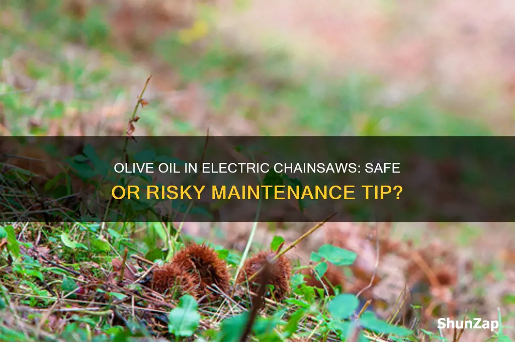 can i use olive oil in my electric chainsaw