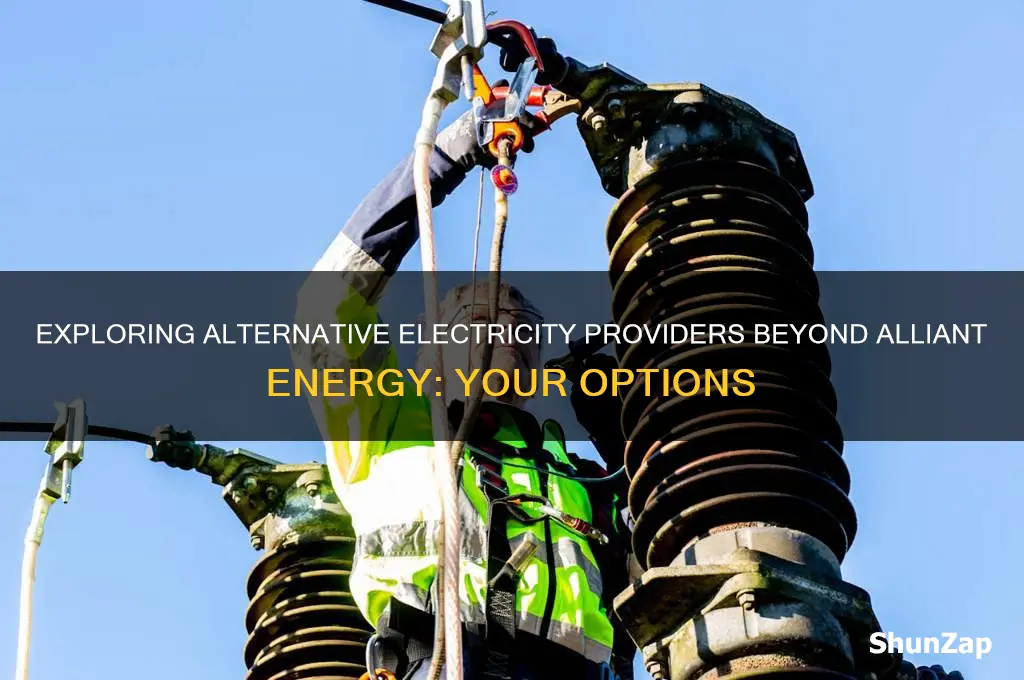 can i use someone else for electricity besides alliant energy