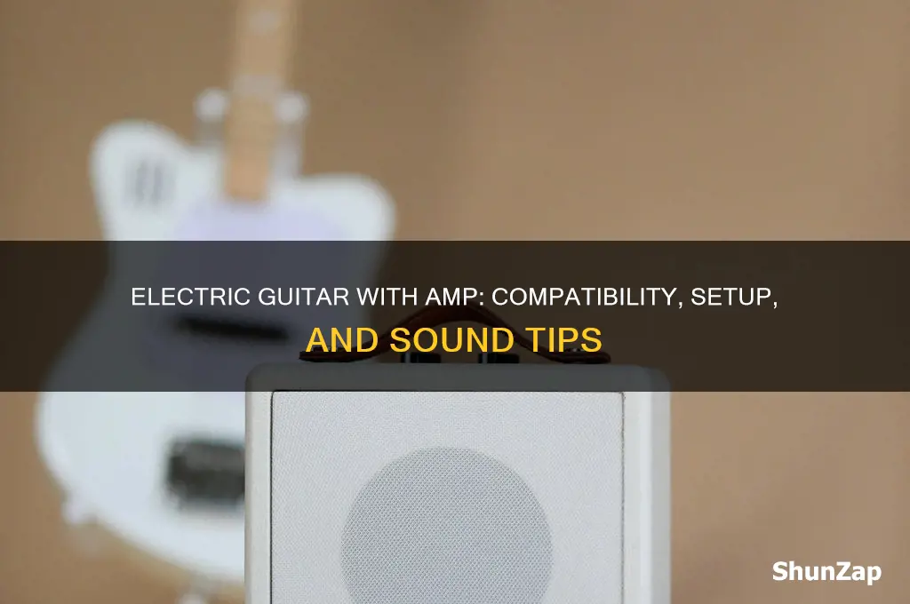can i use the electric guitar witjo amp