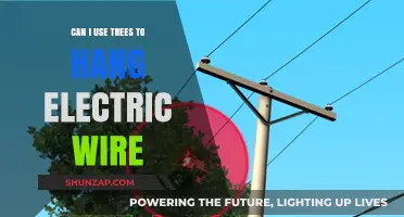 Using Trees for Electric Wire Hanging: Safe or Risky Practice?