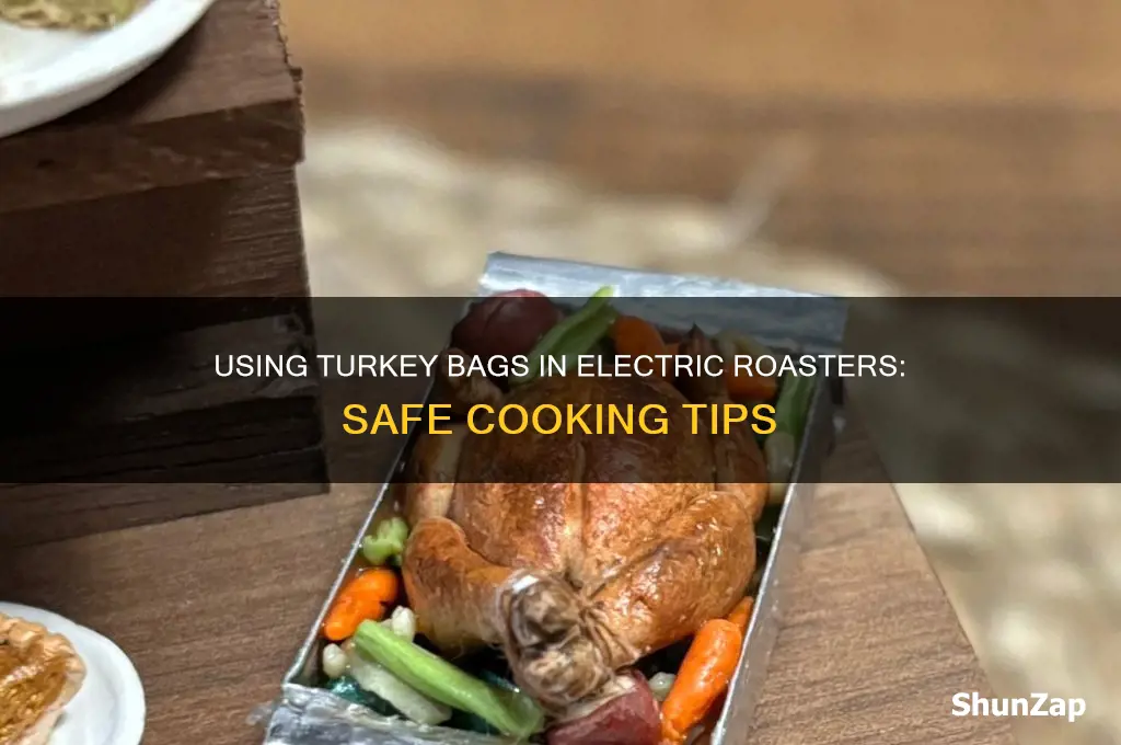 can i use turkey bag in electric roaster