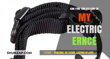 Using Two Collars on Your Electric Fence: Safety and Practical Tips