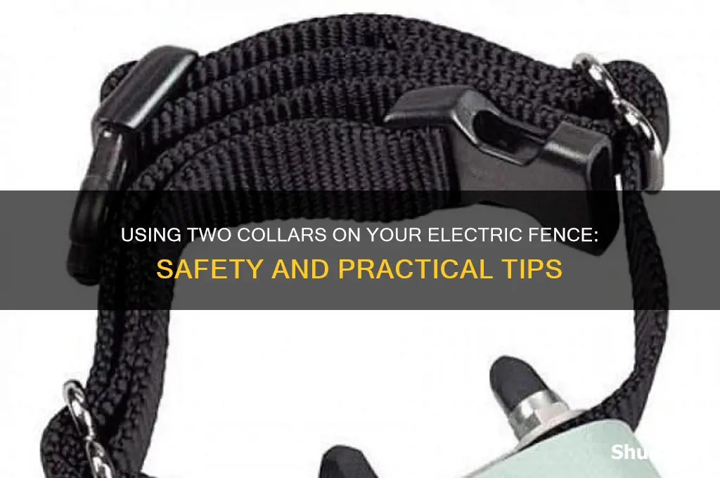 can i use two collars on my electric ernce