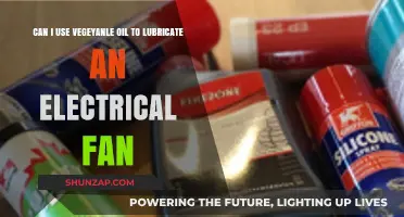 Using Vegetable Oil as Electrical Fan Lubricant: Safe or Risky?