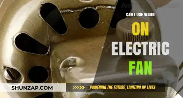 Using WD-40 on Electric Fans: Safe or Risky Maintenance Tip?
