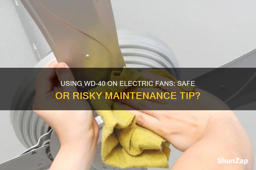 can i use wd40 on electric fan