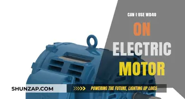 Using WD-40 on Electric Motors: Safe or Risky Practice?