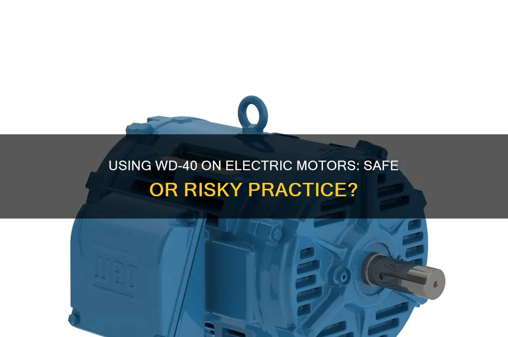 can i use wd40 on electric motor