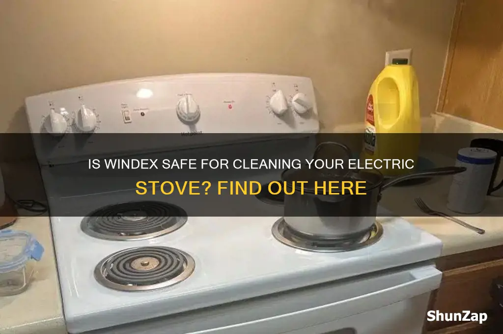 can i use windex on my electric stove