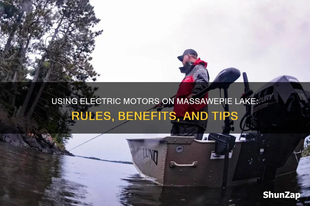 can in use electric motor on massawepie lake