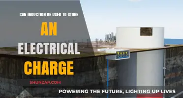 Can Induction Store Electrical Charge? Exploring Energy Storage Potential
