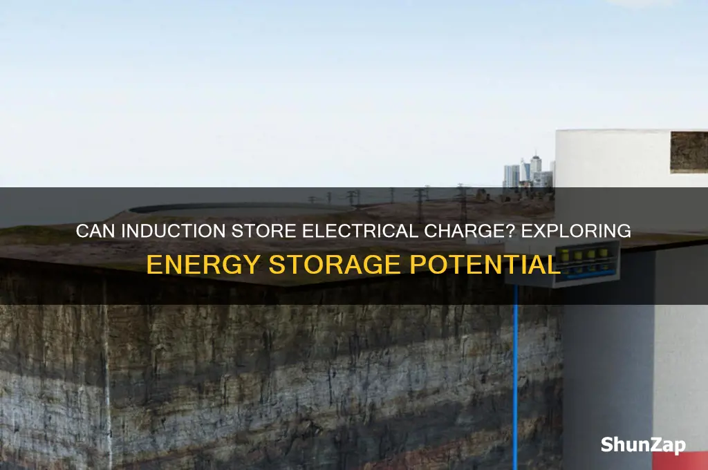 can induction be used to store an electrical charge