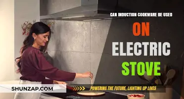 Induction Cookware on Electric Stoves: Compatibility and Usage Explained