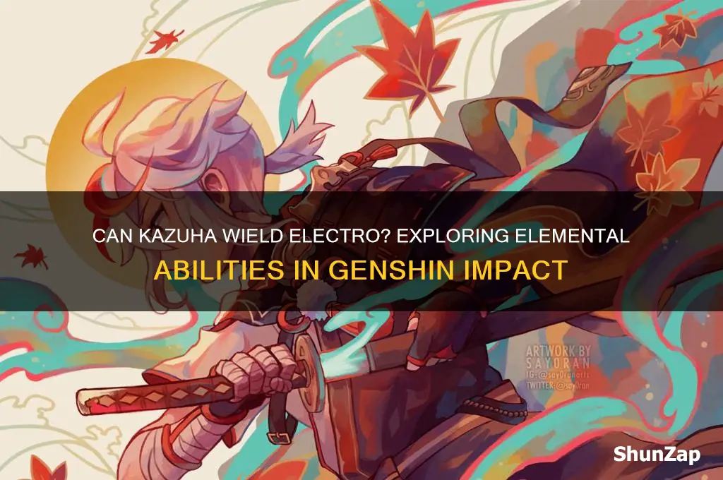 can kazuha use electro