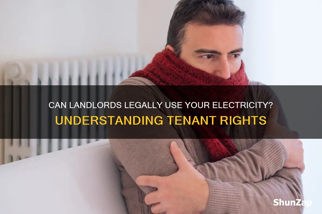 can landlord use your electricity