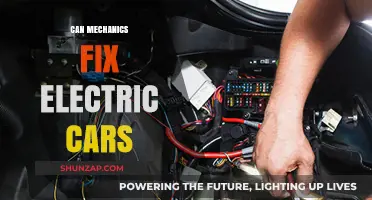 Can Mechanics Fix Electric Cars? Exploring Skills and Challenges