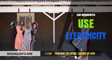Can Mennonites Use Electricity? Exploring Faith, Technology, and Tradition