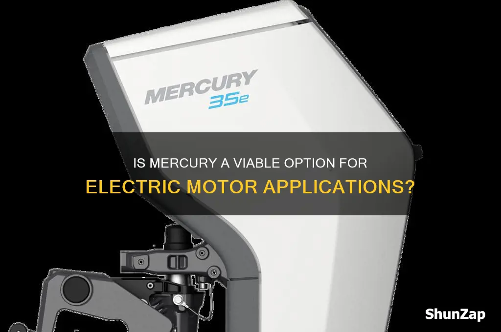 can mercury be practicable to use in an electric motor