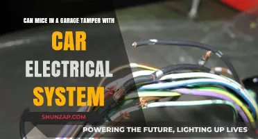 Mice in Garage: Risks to Car Electrical Systems Explained