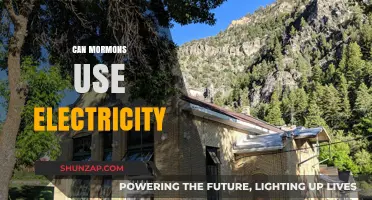 Can Mormons Use Electricity? Debunking Myths About LDS Technology Use