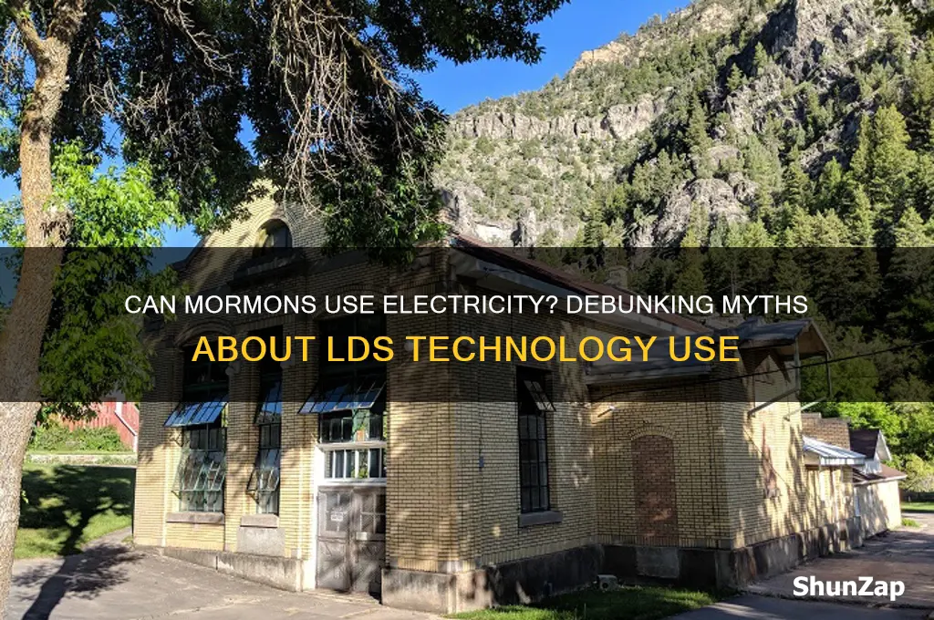 can mormons use electricity