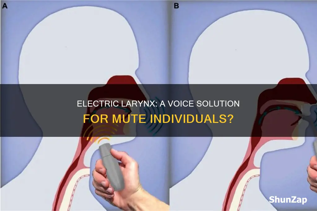 can mute people use electric larynx