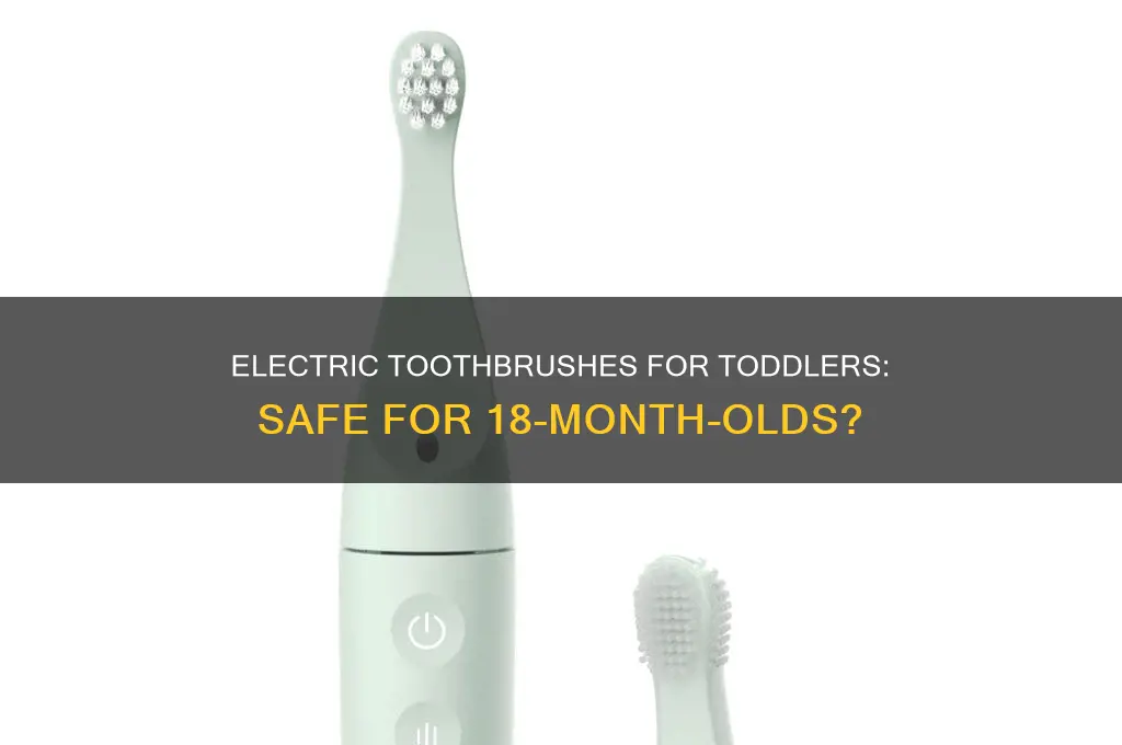 can my 18 month old use an electric toothbrush