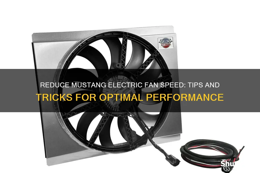 can my car electric fans speed be reduced mustang