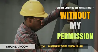 Can Landlords Use Tenant Electricity? Legal Rights and Boundaries Explained