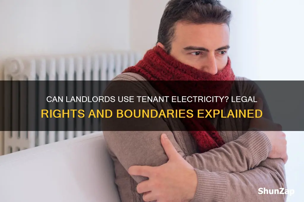 can my landlord use my electricity without my permission