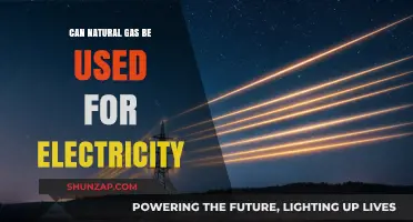 Harnessing Natural Gas: A Viable Power Source for Electricity Generation?