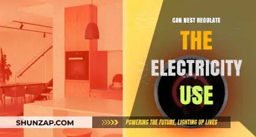 Can Nest Optimize and Regulate Your Home's Electricity Consumption?