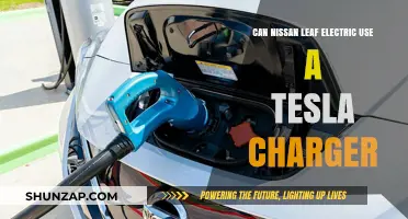 Can Nissan Leaf Use Tesla Chargers? Compatibility Explained