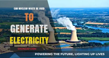 Harnessing Nuclear Waste: A Sustainable Power Source for the Future?