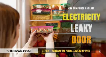 Old Fridges, Leaky Doors: Are They Draining Your Energy Bills?
